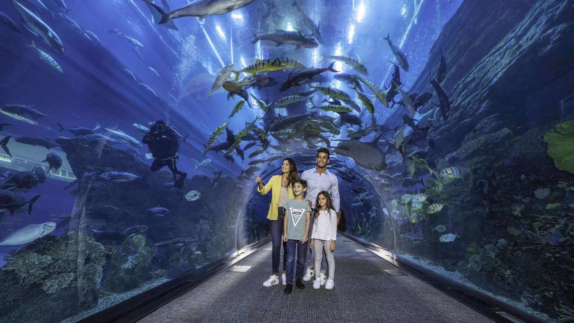 Dubai Mall Aquarium & Underwater Zoo