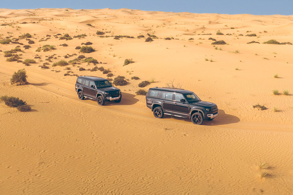 Platinum Desert Safari